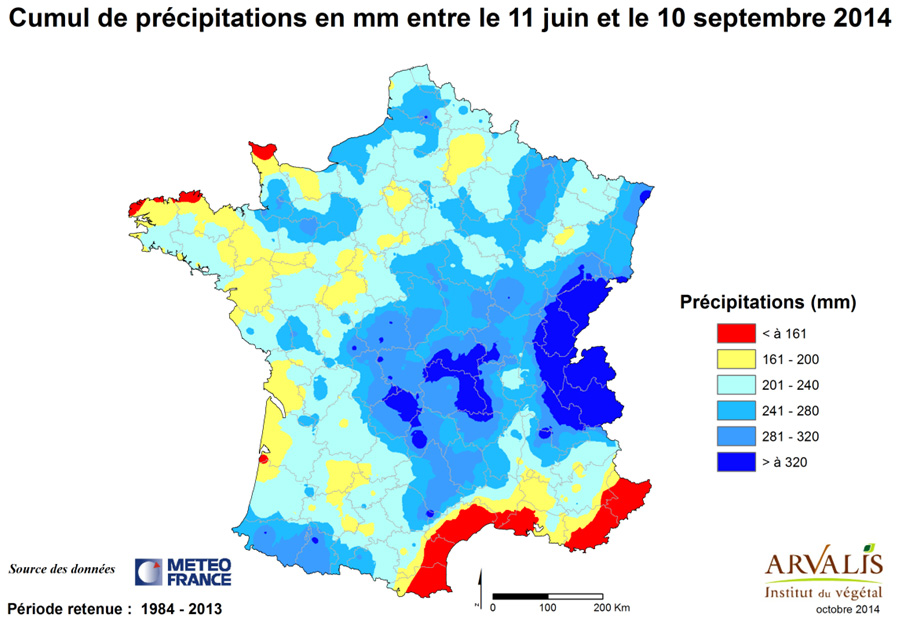 carte_mais8666256944956227886 carte mais
